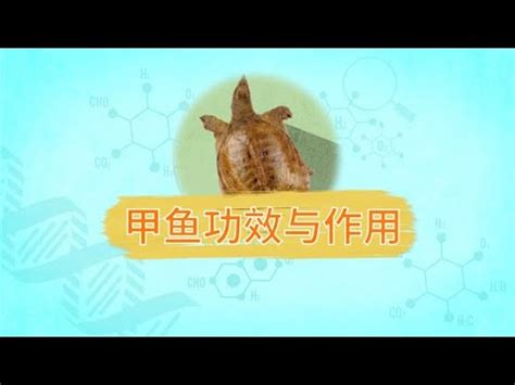 水魚禁忌